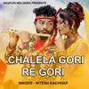 About Chalela Gori Re Gori Song